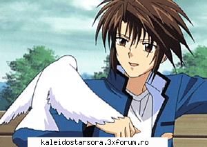 ayumu narumi