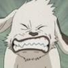 kiba inuzuka akamaru