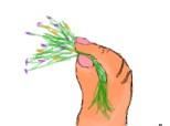 desene manuta floricele