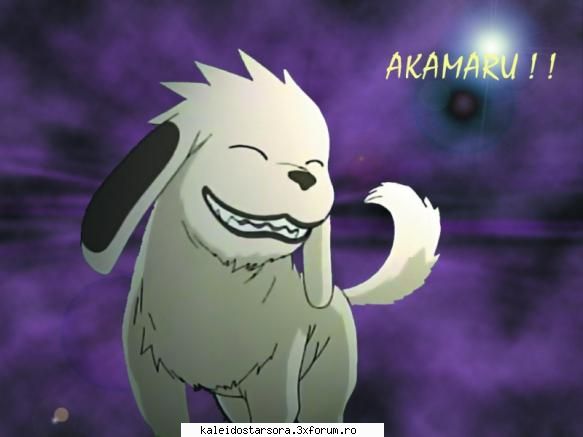 kiba inuzuka akamaru