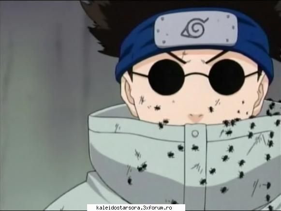 shino aburame