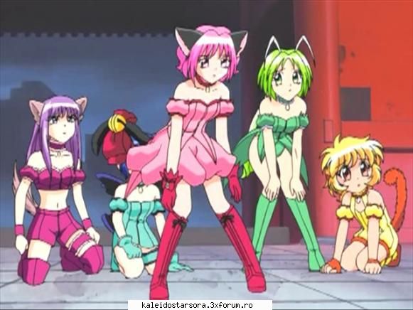 mew mew power