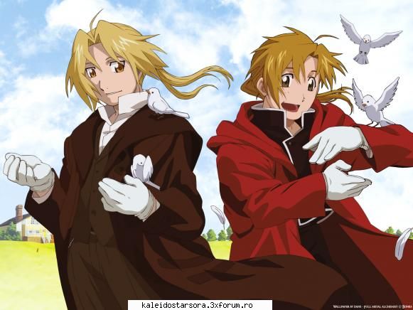 full metal alchemist gallery