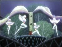 Acrobatia Ingerului - Sora - ~Kaleido Star~