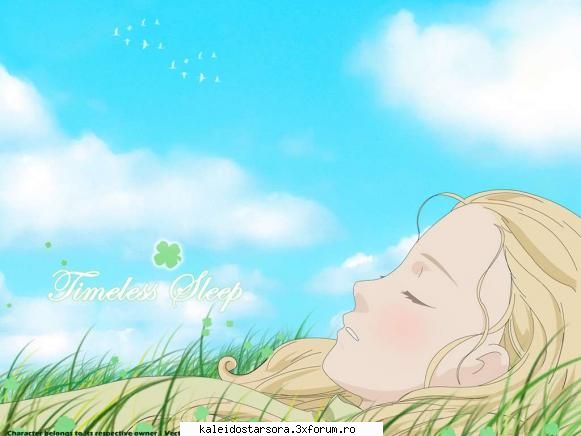 Honey & Clover Gallery - Sora - ~Honey & Clover~