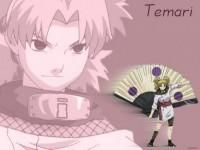 Temari - Sora - ~Naruto~